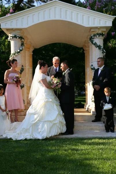 Massive Price Cuts!David's Bridal David's Bridal Taffeta Ball Gown 9T9251 Size 18