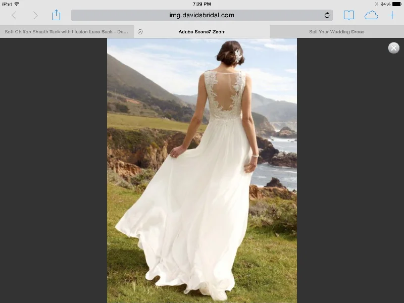 Hurry! While Supplies Last!David's Bridal Soft chiffon sheath wg3429