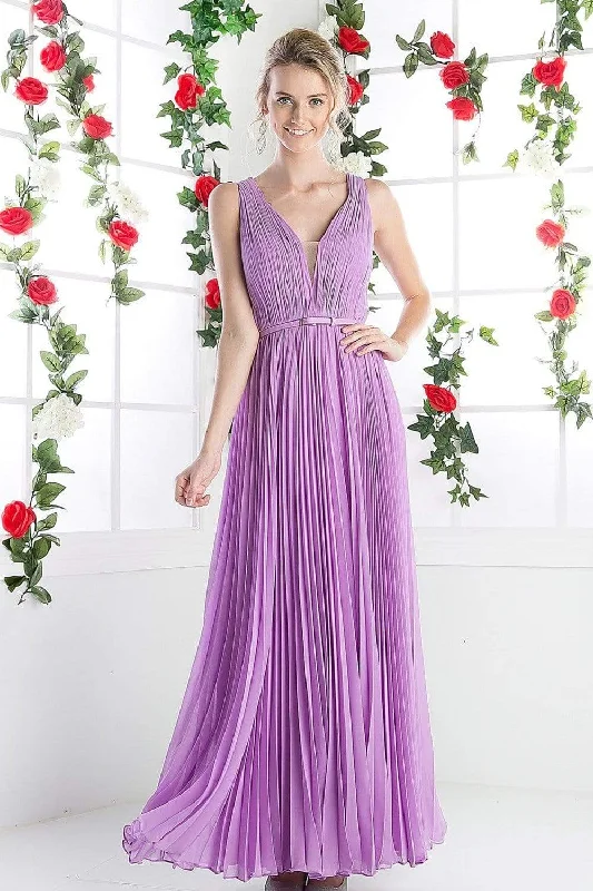 Hurry! While Supplies Last!Cinderella Divine - Pleated V-neck A-line Dress
