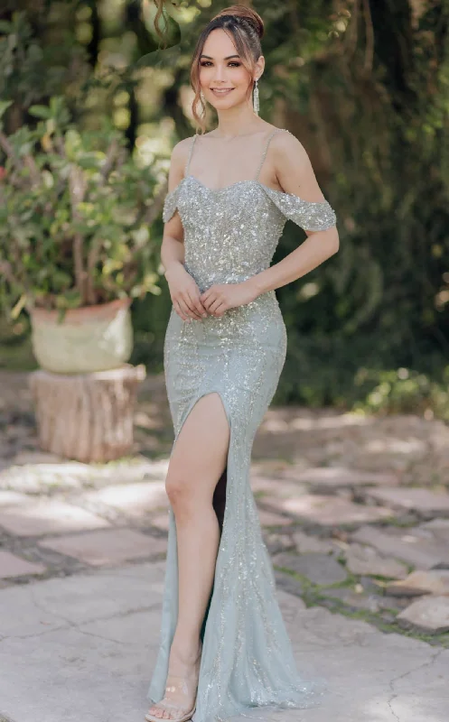 Amazing Prices You Can’t Resist!Terani 232E1215 Dress